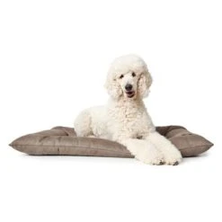 Cama Hunter Bologna Color Piedra Para Perros 12 Cama Hunter Bologna Color Piedra Para Perros -Artículos Mascotas Tienda 212954 212955 hunter hundebett bologna stein hs 04 2