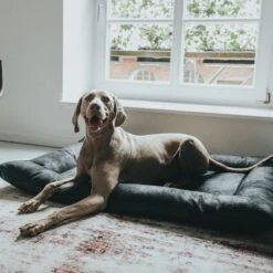 Cama Hunter Bologna Negra Para Perros 18 Cama Hunter Bologna Negra Para Perros -Artículos Mascotas Tienda 214699 214700 hunter hundebett bologna schwarz hs 10 8