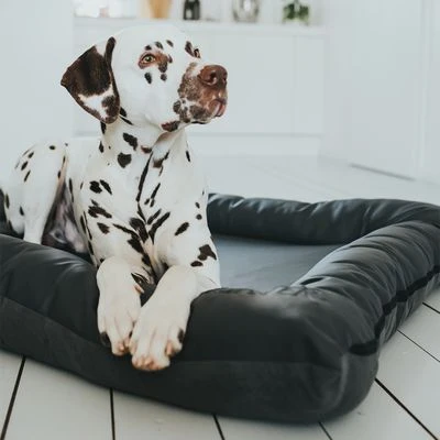 Cama Hunter Bologna Negra Para Perros 11 Cama Hunter Bologna Negra Para Perros - Imagen 9