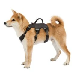 Arnés Ferplast Ergotrekking Negro -Artículos Mascotas Tienda 224508 224509 224510 ferplast ergotrekking geschirr schwarz hs 10 4