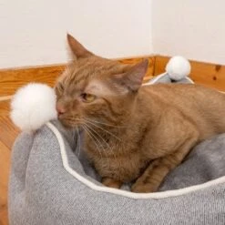 Cama Crown Para Mascotas -Artículos Mascotas Tienda 233898 crown mit katze fg 8999 6