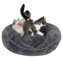 Cama Ortopédica Atlanta Modern Living Para Mascotas -Artículos Mascotas Tienda 235396 und katze fg 9748 0