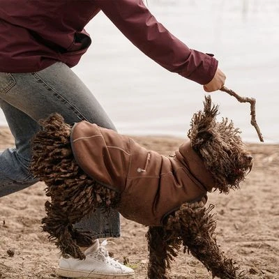Abrigo Hurtta Bare Softshell Chocolate Para Perros - Imagen 13