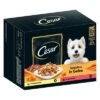 Cesar Selección Carne Con Verduras En Gelatina -Artículos Mascotas Tienda 250998 mars cesar selektion fleisch gemuesegelee hs 03 4