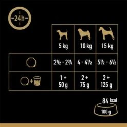 Cesar En Tarrinas 24 X 150 G - Megapack 17 Cesar En Tarrinas 24 X 150 G - Megapack -Artículos Mascotas Tienda 251196 mars megapack cesar scjale landraagout 24x150g hs 05 5