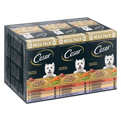 Cesar En Tarrinas 24 X 150 G - Megapack 7 Cesar En Tarrinas 24 X 150 G - Megapack - Imagen 5