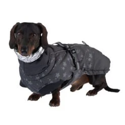 Abrigo Largo Reflecting Stars Para Perros 31 Abrigo Largo Reflecting Stars Para Perros -Artículos Mascotas Tienda 262001 hundemantel reflecting stars fg 1934 2