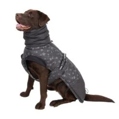 Abrigo Largo Reflecting Stars Para Perros 28 Abrigo Largo Reflecting Stars Para Perros -Artículos Mascotas Tienda 262100 labrador fg 1982 1