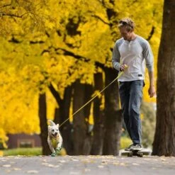 Correa RUFFWEAR Hi & Light Para Perros -Artículos Mascotas Tienda 262501 accapi ruffwear hi light leash lichengreen hs 13 5