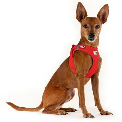 Arnés Curli Vest Clasp Air-Mesh Rojo Para Perros 5 Arnés Curli Vest Clasp Air-Mesh Rojo Para Perros - Imagen 3