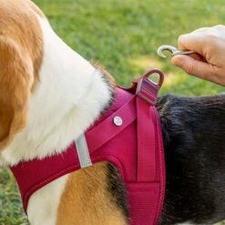Arnés Curli Vest Clasp Air-Mesh Fucsia Para Perros 10 Arnés Curli Vest Clasp Air-Mesh Fucsia Para Perros -Artículos Mascotas Tienda 267496 267304 267305 267306 curli vest geschirr clasp airmesh fuchsia hs 04 9