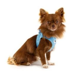 Arnés Curli Vest Clasp Air-Mesh Azul Cielo Para Perros 8 Arnés Curli Vest Clasp Air-Mesh Azul Cielo Para Perros -Artículos Mascotas Tienda 267596 267597 267598 267308 curli vest geschirr clasp airmesh himmelblau hs 03 1