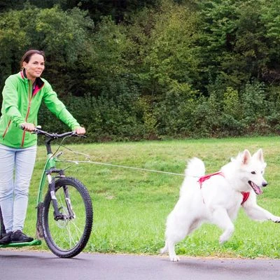 Correa De Bolsillo Curli Ultrarresistente 5 Correa De Bolsillo Curli Ultrarresistente - Imagen 3