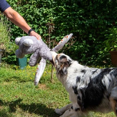 Conejo Elsie De Peluche Para Perros 5 Conejo Elsie De Peluche Para Perros - Imagen 3