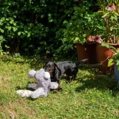 Conejo Elsie De Peluche Para Perros 25 Conejo Elsie De Peluche Para Perros -Artículos Mascotas Tienda 267996 elsie mit hund fg 3335 8