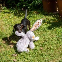 Conejo Elsie De Peluche Para Perros 21 Conejo Elsie De Peluche Para Perros -Artículos Mascotas Tienda 267996 elsie mit hund fg 3339 8