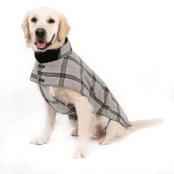 Abrigo Flannel Check Para Perros -Artículos Mascotas Tienda 269071 flannel check 60cm fg 2336 5
