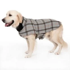 Abrigo Flannel Check Para Perros -Artículos Mascotas Tienda 269071 flannel check 60cm fg 2346 8