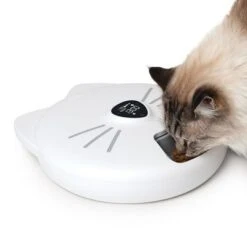 Comedero Automático Catit Pixi Smart 6-Meal 25 Comedero Automático Catit Pixi Smart 6-Meal -Artículos Mascotas Tienda 287496 hagencontainer catit pixi smart 6meal futterautomat hs 11 2