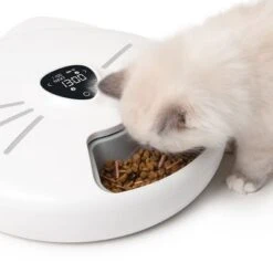 Comedero Automático Catit Pixi Smart 6-Meal 33 Comedero Automático Catit Pixi Smart 6-Meal -Artículos Mascotas Tienda 287496 hagencontainer catit pixi smart 6meal futterautomat hs 12 6