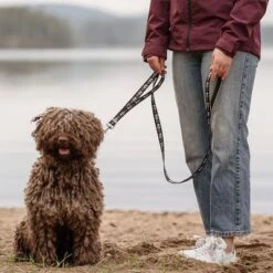 Correa Ajustable Hurtta Bare Carbón Para Perros 8 Correa Ajustable Hurtta Bare Carbón Para Perros -Artículos Mascotas Tienda 288348 hurtta bare verstellbare fuehrleine coal hs 02 1