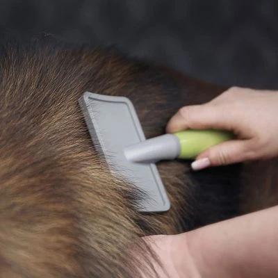 Carda Grande Moser Para Mascotas 5 Carda Grande Moser Para Mascotas - Imagen 3