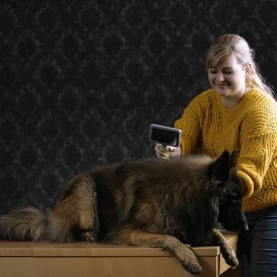 Carda Grande Moser Para Mascotas 4 Carda Grande Moser Para Mascotas - Imagen 2