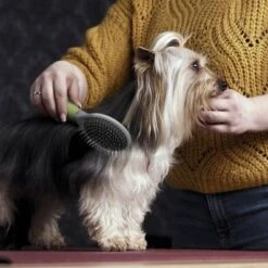 Cepillo De Doble Cara Moser Para Mascotas 7 Cepillo De Doble Cara Moser Para Mascotas -Artículos Mascotas Tienda 289796 moser beidseitige fellpflegebuerste hs 02 1