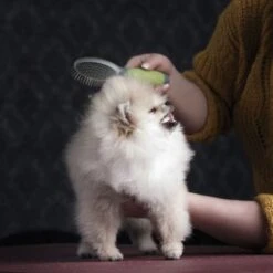 Cepillo De Doble Cara Moser Para Mascotas 6 Cepillo De Doble Cara Moser Para Mascotas -Artículos Mascotas Tienda 289796 moser beidseitige fellpflegebuerste hs 03 3