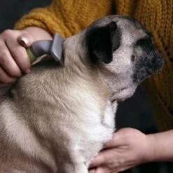 Peine Moser Para El Subpelo De Las Mascotas 6 Peine Moser Para El Subpelo De Las Mascotas -Artículos Mascotas Tienda 289797 moser unterwollkamm hs 02 4