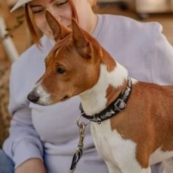 Collar Hurtta Bare Carbón Para Perros 24 Collar Hurtta Bare Carbón Para Perros -Artículos Mascotas Tienda 291297 291298 288343 291396 hurtta bare halsband coal hs 08 4