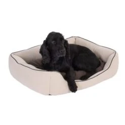 Cama Para Mascotas Vanilla 14 Cama Para Mascotas Vanilla -Artículos Mascotas Tienda 300410 kuschelbett vanilla l70 05 09 2012 dsc0773 0