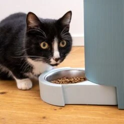 TIAKI Tolva Para Pienso Y Agua, Azul Claro Para Mascotas -Artículos Mascotas Tienda 302496 duo napf mit katze fg 1019 0