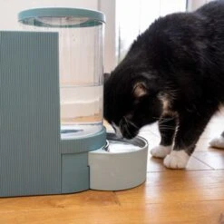 TIAKI Tolva Para Pienso Y Agua, Azul Claro Para Mascotas -Artículos Mascotas Tienda 302496 duo napf mit katze fg 1028 7