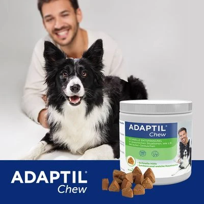 ADAPTIL® Chew Para Perros 6 ADAPTIL® Chew Para Perros - Imagen 4