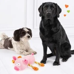 Doglove Cerdito De Juguete Para Perros -Artículos Mascotas Tienda 303598 edupet doglove hundespielzeug pferd hs 05 3