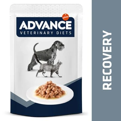 Advance Recovery Veterinary Diets Comida Húmeda Para Perros Y Gatos 7 Advance Recovery Veterinary Diets Comida Húmeda Para Perros Y Gatos - Imagen 5