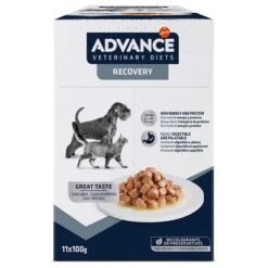 Advance Recovery Veterinary Diets Comida Húmeda Para Perros Y Gatos 11 Advance Recovery Veterinary Diets Comida Húmeda Para Perros Y Gatos -Artículos Mascotas Tienda 309899 pla affinityspain advance veterinarydiets dogrecovery hs 01 5