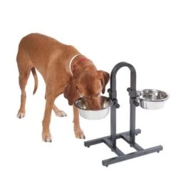 Soporte Ajustable Con Dos Comederos De 1,6 L -Artículos Mascotas Tienda 313525 u hundebar 05 dsc9197 9