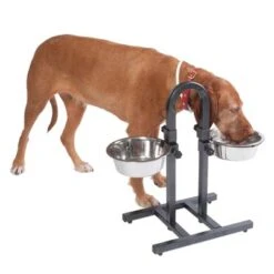 Soporte Ajustable Con Dos Comederos De 1,6 L -Artículos Mascotas Tienda 313525 u hundebar 06 dsc9199 3