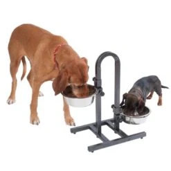 Soporte Ajustable Con Dos Comederos De 1,6 L -Artículos Mascotas Tienda 313525 u hundebar 07 dsc9203 5