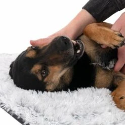 Manta TIAKI Cloud Para Mascotas -Artículos Mascotas Tienda 318000 tiaki hundedecke decke cloud hs 23 7