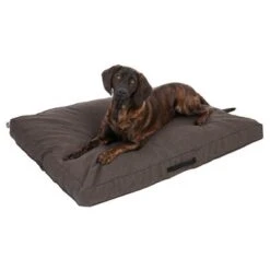 Colchón TIAKI Memory Foam Marrón Para Perros -Artículos Mascotas Tienda 318702 mit hund fg 5116 0