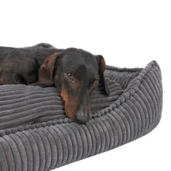 Cama Modern Living Helena Para Perros -Artículos Mascotas Tienda 320397 hundebett helena grau fg 2233 5