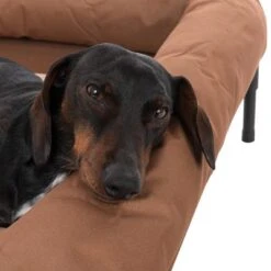 Sofá TIAKI Sun Cream Para Perros 29 Sofá TIAKI Sun Cream Para Perros -Artículos Mascotas Tienda 320897 tiaki hundesofa sun cream fg 8401 8