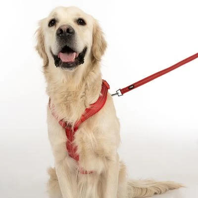 Arnés TIAKI Neoprene Rojo Para Perros 12 Arnés TIAKI Neoprene Rojo Para Perros - Imagen 10