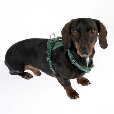 Arnés TIAKI Neoprene Verde Para Perros 18 Arnés TIAKI Neoprene Verde Para Perros - Imagen 16