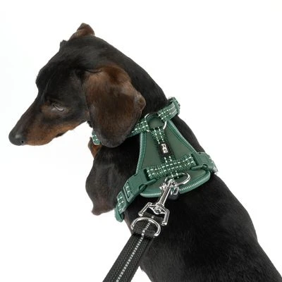Arnés TIAKI Neoprene Verde Para Perros 12 Arnés TIAKI Neoprene Verde Para Perros - Imagen 10
