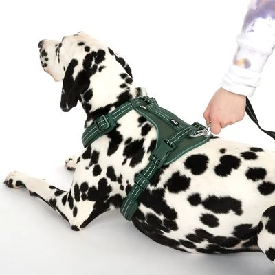 Arnés TIAKI Neoprene Verde Para Perros 15 Arnés TIAKI Neoprene Verde Para Perros - Imagen 13