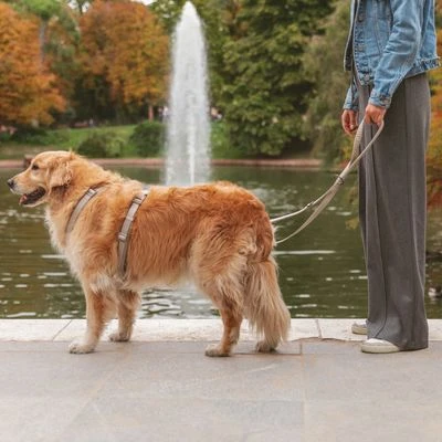 Arnés Nomad Tales Blush Beige Topo Para Perros 11 Arnés Nomad Tales Blush Beige Topo Para Perros - Imagen 9